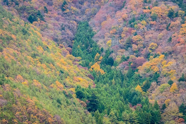 Piękne Krajobrazy Mnóstwo Drzew Kolorowych Liści Wokół Góry Sezonie Jesiennym — Zdjęcie stockowe