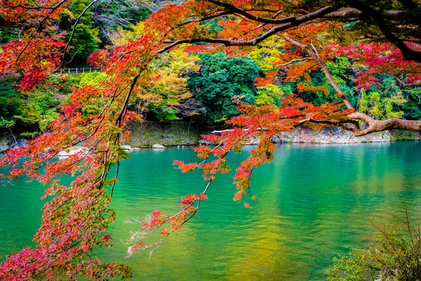 Belle Rivière Arashiyama Avec Feuille Érable Bateau Autour Lac Automne — Photo