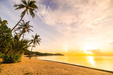 Günbatımı zaman tropik cennet ada plaj ve deniz ile Hindistan cevizi palmiye ağacı üzerinde tatil ve tatil için