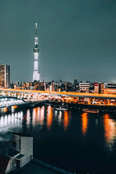 Tokyo Japonya Ağustos 2018 Tokyo City Tokyo Ağaç Gökyüzü Ile — Stok fotoğraf