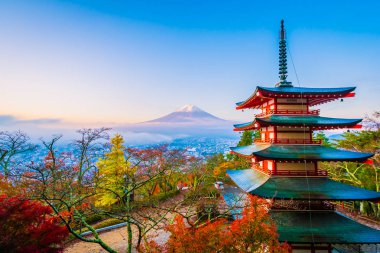 Dağ fuji chureito pagoda akçaağaç ağaç yaprak sonbahar sezonu Yamanashi Japonya çevresinde ile güzel manzara