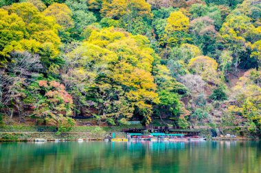 Akçaağaç ağaç yaprak ve sonbahar sezonu Kyoto Japonya göl etrafında tekne ile güzel Arashiyama Nehri
