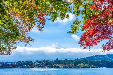 Dağ fuji akçaağaç yaprağı ağaç göl sonbahar sezonu ile güzel manzara