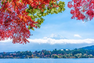 Dağ fuji akçaağaç yaprağı ağaç göl sonbahar sezonu ile güzel manzara