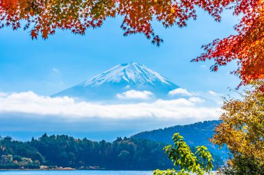 Dağ fuji akçaağaç yaprağı ağaç göl sonbahar sezonu ile güzel manzara