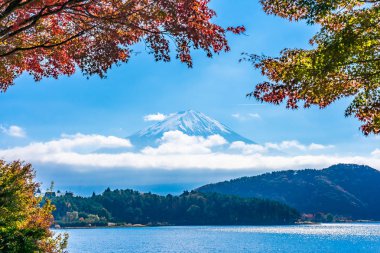 Dağ fuji akçaağaç yaprağı ağaç göl sonbahar sezonu ile güzel manzara