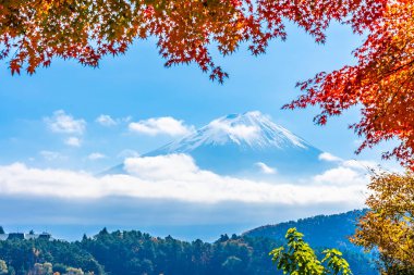 Dağ fuji akçaağaç yaprağı ağaç göl sonbahar sezonu ile güzel manzara