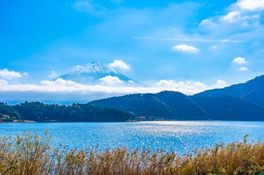 Dağ fuji akçaağaç yaprağı ağaç göl sonbahar sezonu ile güzel manzara