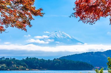 Dağ fuji akçaağaç yaprağı ağaç göl sonbahar sezonu ile güzel manzara