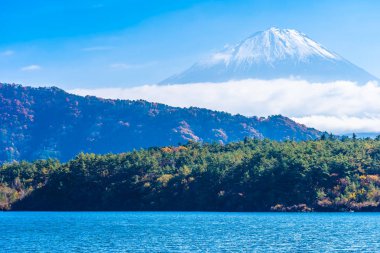 Dağ fuji akçaağaç yaprağı ağaç göl sonbahar sezonu ile güzel manzara