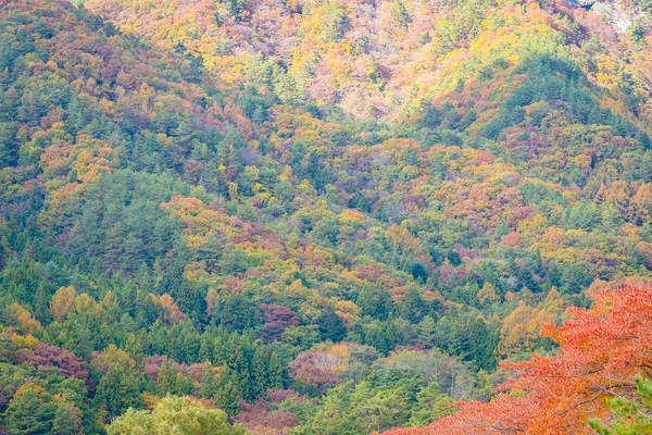 Piękny Krajobraz Gór Wokół Klon Inne Drzewa Sezonie Jesiennym — Zdjęcie stockowe