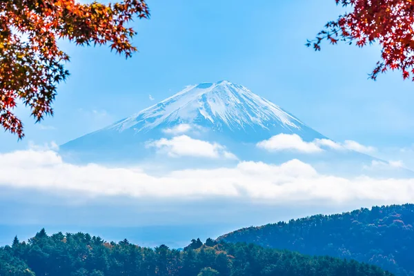 Piękny Krajobraz Góry Fuji Liścia Klonu Wokół Jeziora Sezonie Jesiennym — Zdjęcie stockowe