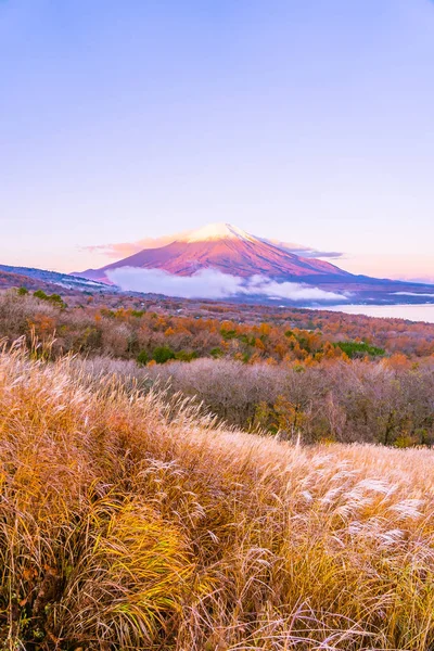 Hermoso Paisaje Montaña Fuji Yamanakako Lago Yamanaka Temporada Otoño Japón — Foto de Stock