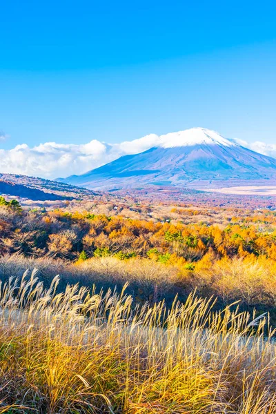 秋の季節に日本の山中湖や山中湖の富士山の美しい風景 — ストック写真