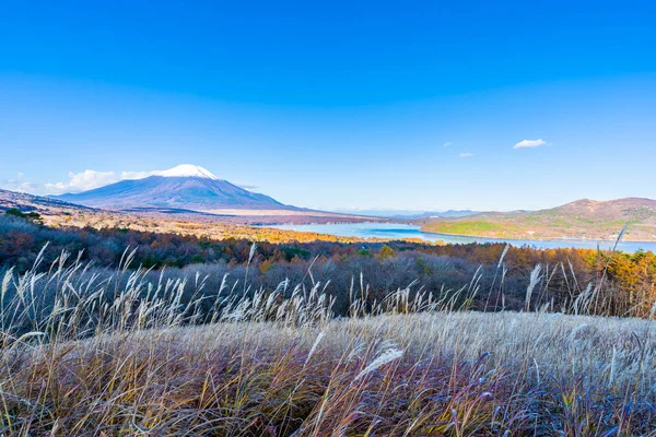 Bela Paisagem Montanha Fuji Yamanakako Lago Yamanaka Temporada Outono Japão — Fotografia de Stock