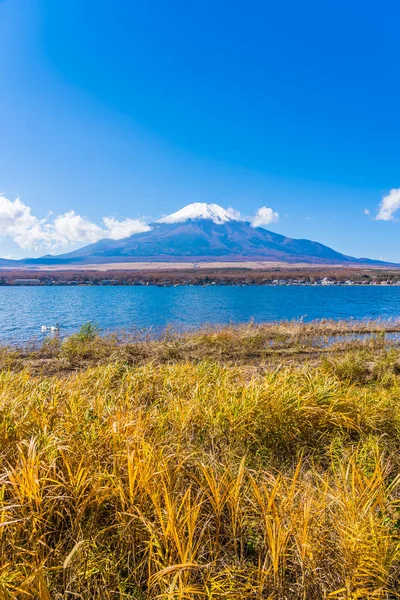 Όμορφο Τοπίο Του Βουνού Fuji Γύρω Από Την Ιαπωνία Στη — Φωτογραφία Αρχείου