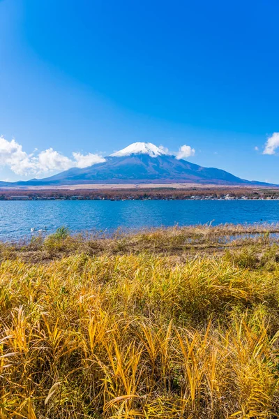สวยงามของภ เขาฟ รอบทะเลสาบ Yamanakako ประเทศญ — ภาพถ่ายสต็อก