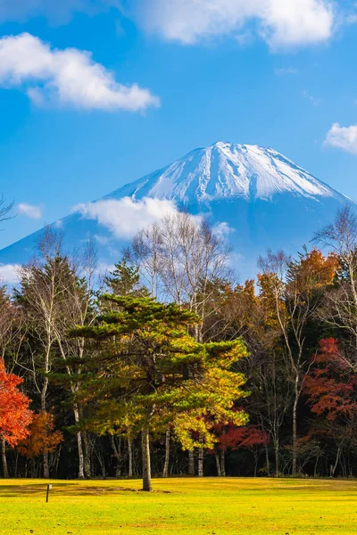 Beau Paysage Fuji Montagne Avec Érable Autour Lac Automne Japon — Photo