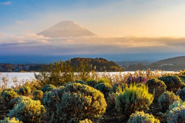 Dağ fuji akçaağaç yaprağı ağaç göl günbatımı zaman Yamanashi Japonya sonbahar sezonu ile güzel manzara