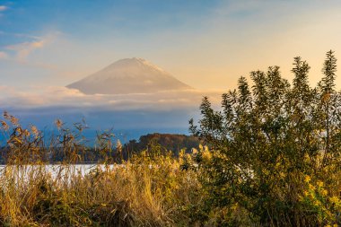 Dağ fuji akçaağaç yaprağı ağaç göl günbatımı zaman Yamanashi Japonya sonbahar sezonu ile güzel manzara