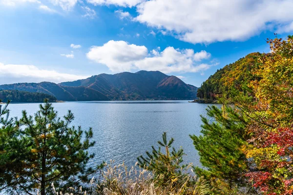 Bela Paisagem Torno Lago Kawaguchiko Outono Sesaon Yamanashi Japão — Fotografia de Stock