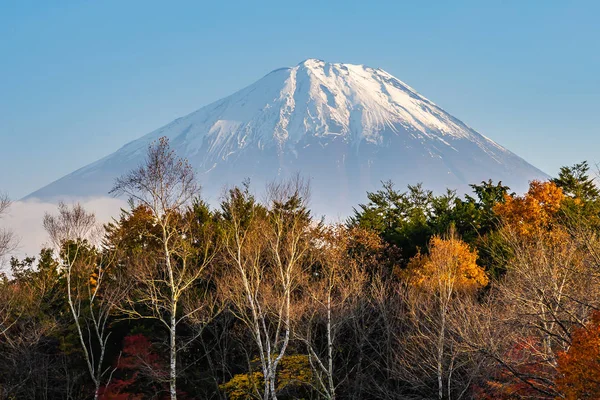 Beautiful Landscape Mountain Fuji Maple Leaf Tree Lake Autumn Season — Stock Photo, Image