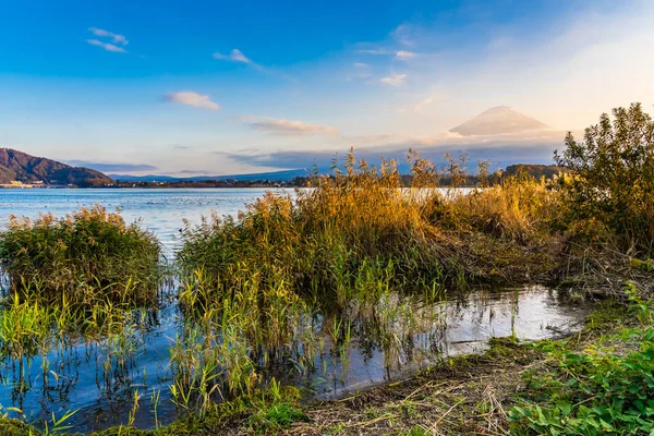 Vackert Landskap Berg Fuji Med Lönn Löv Runt Sjön Höstsäsongen — Stockfoto