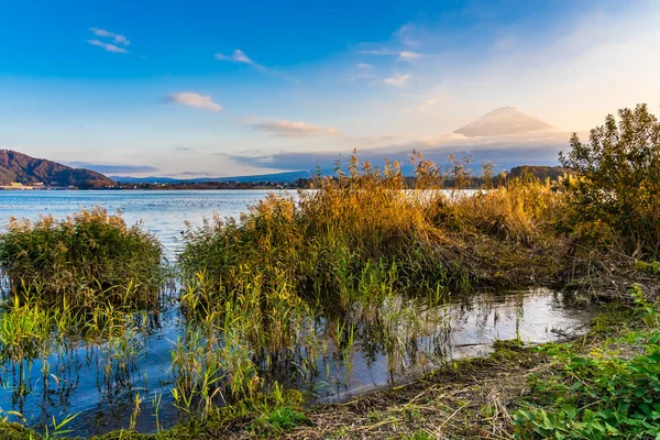 Dağ fuji akçaağaç yaprağı ağaç göl günbatımı zaman Yamanashi Japonya sonbahar sezonu ile güzel manzara
