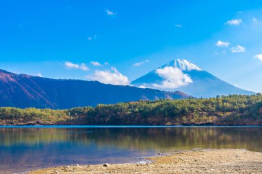 Güzel manzara dağ fuji göl Yamanashi Japonya akçaağaç ağaç yaprak ile