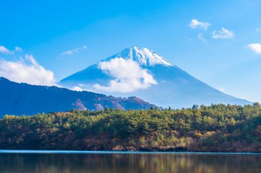 Güzel manzara dağ fuji göl Yamanashi Japonya akçaağaç ağaç yaprak ile