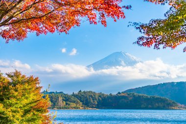 Güzel manzara dağ fuji göl Yamanashi Japonya akçaağaç ağaç yaprak ile