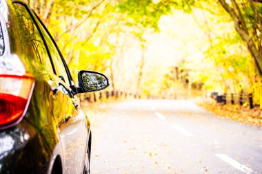 Sonbahar sezonu ağaç ormanı etrafında yolda araba