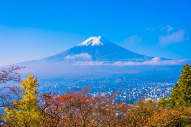 Güzel manzara dağ fuji akçaağaç yaprağı ağaç beyaz bulut ve Yamanashi Japonya sonbahar sezonu mavi gökyüzü ile çevresinde