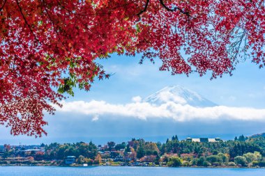 Dağ fuji akçaağaç yaprağı ağaç göl sonbahar sezonu ile güzel manzara
