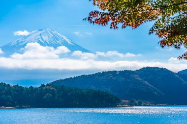 Dağ fuji akçaağaç yaprağı ağaç göl sonbahar sezonu ile güzel manzara