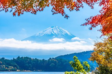 Dağ fuji akçaağaç yaprağı ağaç göl sonbahar sezonu ile güzel manzara