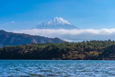 Güzel manzara dağ fuji göl sonbahar sezonu Yamanashi Japonya akçaağaç ağaç yaprak ile