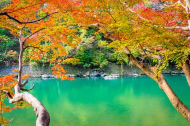 Akçaağaç ağaç yaprak ve sonbahar sezonu Kyoto Japonya göl etrafında tekne ile güzel Arashiyama Nehri
