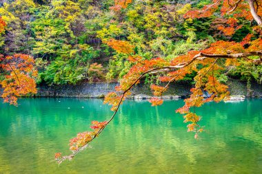 Akçaağaç ağaç yaprak ve sonbahar sezonu Kyoto Japonya göl etrafında tekne ile güzel Arashiyama Nehri