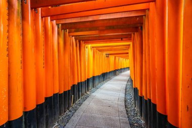 Güzel fushimi Inari tapınak tapınak Kyoto Japonya'da
