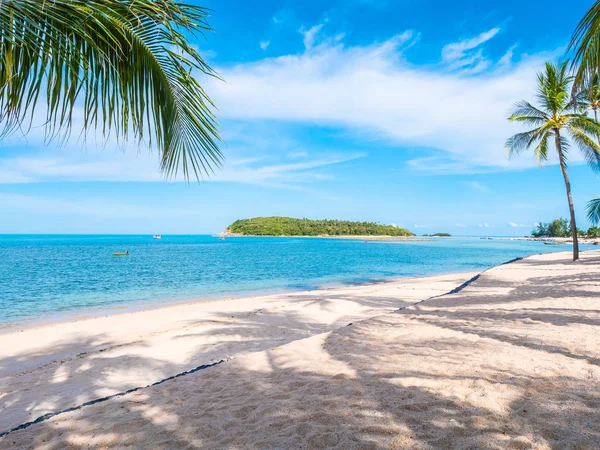 Hermosa Playa Tropical Mar Con Palmera Coco Para Viajes Vacaciones —  Fotos de Stock