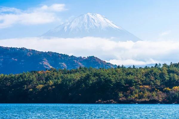 Beautiful Landscape Mountain Fuji Maple Leaf Tree Lake Autumn Season — Stock Photo, Image