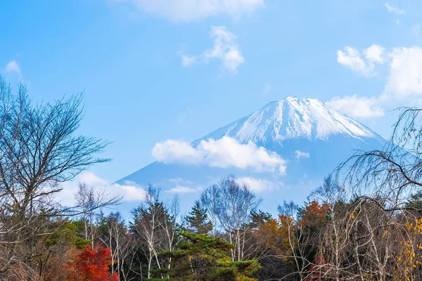 Bela Paisagem Fuji Montanha Com Árvore Folha Bordo Torno Lago — Fotografia de Stock