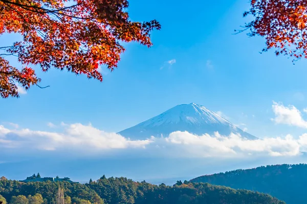 Beau Paysage Fuji Montagne Avec Feuille Érable Autour Lac Dans — Photo