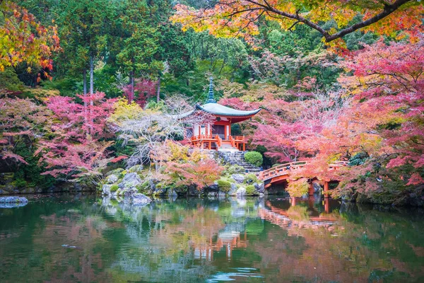 美丽的大国寺与五颜六色的树和叶子在秋天季节京都日本 — 图库照片