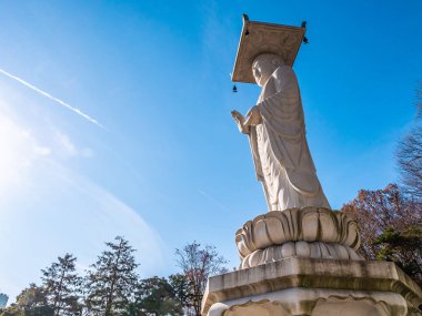 Güzel Budizm heykel Bongeunsa tapınak Seoul City, South Korea