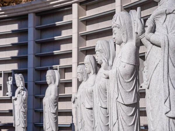 Krásný Buddhismus Socha Bongeunsa Temple City Soul Jižní Korea — Stock fotografie