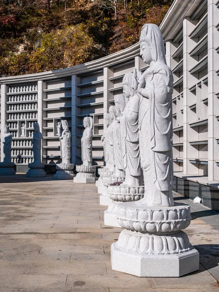 Krásný Buddhismus Socha Bongeunsa Temple City Soul Jižní Korea — Stock fotografie