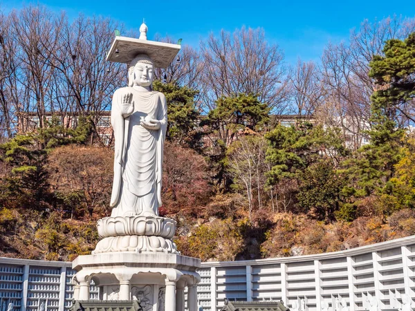 Krásný Buddhismus Socha Bongeunsa Temple City Soul Jižní Korea — Stock fotografie