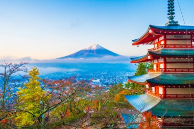 Dağ fuji chureito pagoda akçaağaç ağaç yaprak sonbahar sezonu Yamanashi Japonya çevresinde ile güzel manzara